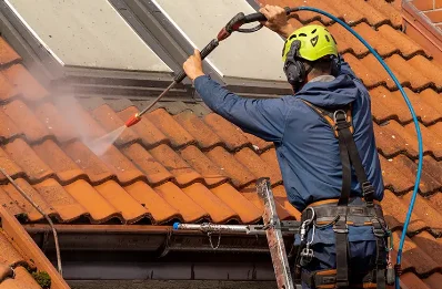 Démoussage et hydrofuge de toiture à Castelnau-Picampeau